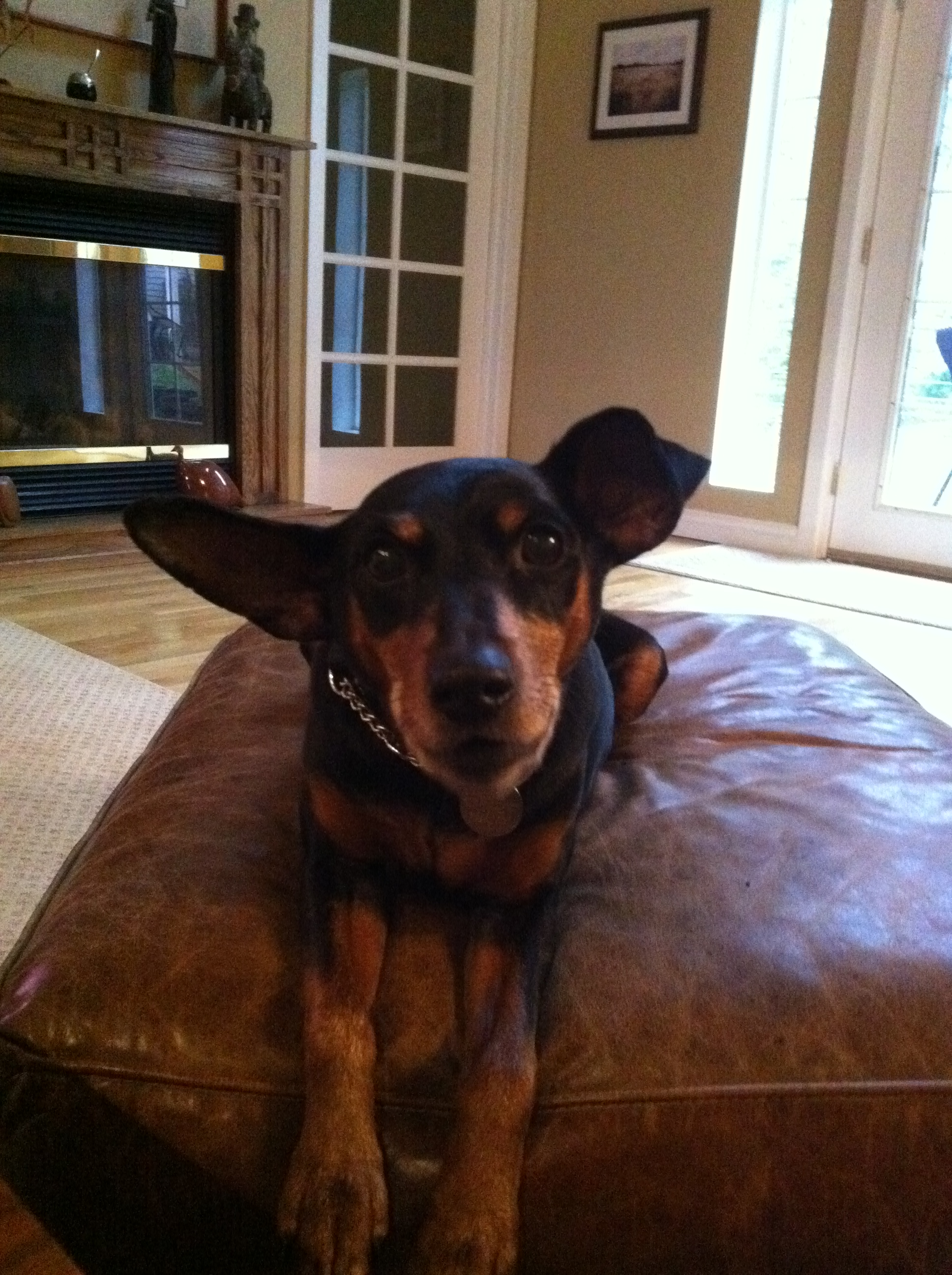 Motley Zoo Animal Rescue Reviews and Ratings | Redmond, WA | Donate