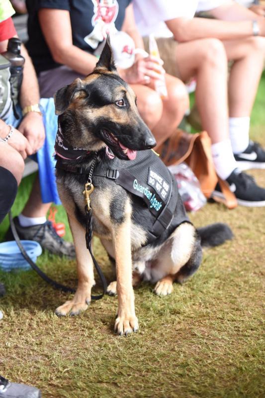 Guardian Angels Medical Service Dogs Inc Reviews and Ratings