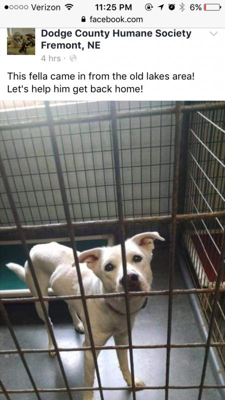 fremont humane society