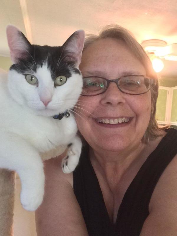 Tenth Life Cat Rescue Reviews and Ratings Saint Louis, MO Donate