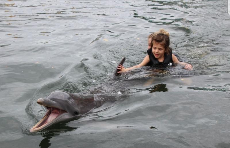 Island Dolphin Care Reviews and Ratings Key Largo, FL