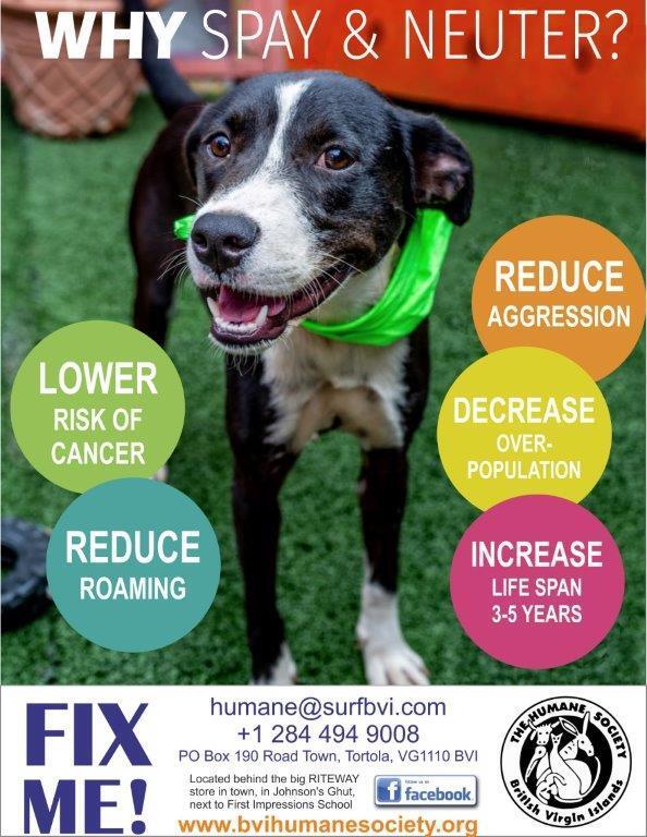 SPCA International Reviews and Ratings New York, NY Donate