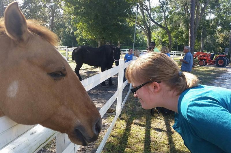Inspire Equine Therapy Program Reviews and Ratings Clearwater, FL