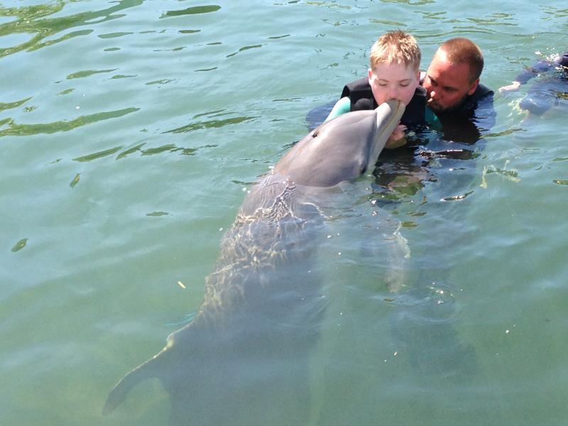 Island Dolphin Care Reviews and Ratings Key Largo, FL