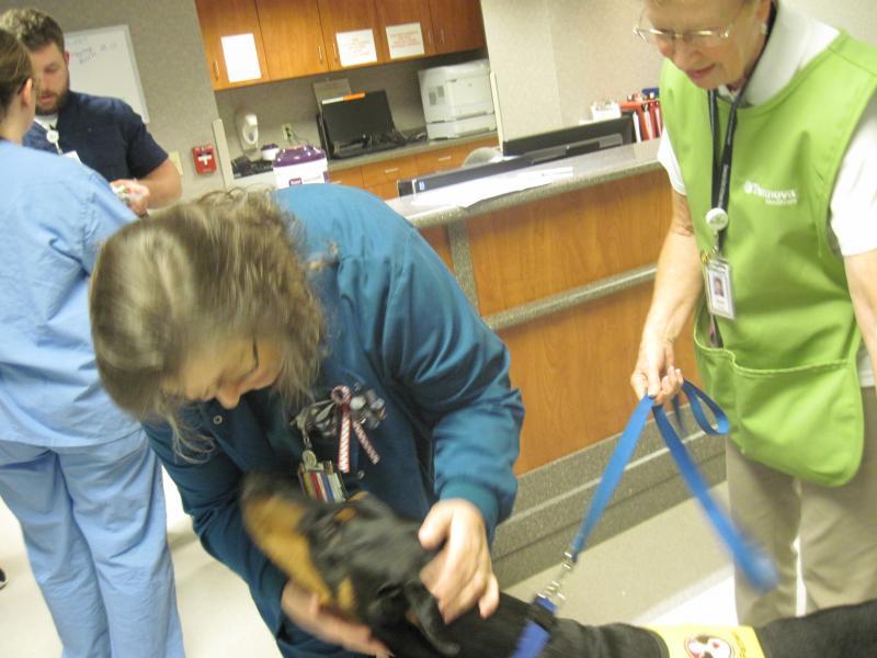 Pet Partners Reviews and Ratings Bellevue, WA Donate, Volunteer