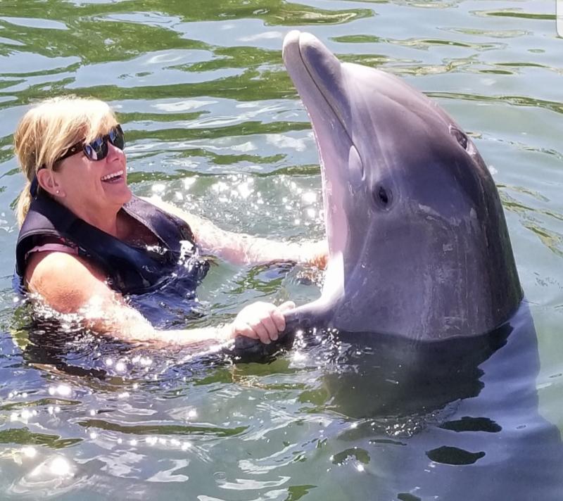 Island Dolphin Care Reviews and Ratings Key Largo, FL