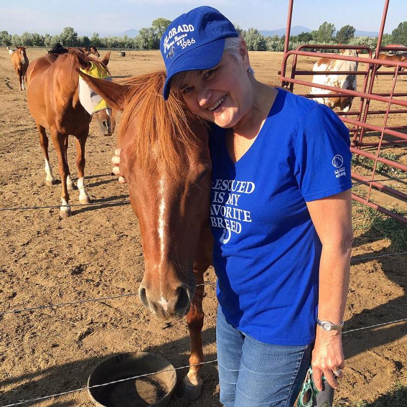 Colorado Horse Rescue Reviews and Ratings Longmont, CO Donate