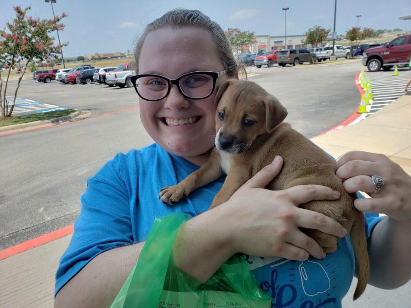 Denison Animal Welfare Group Reviews and Ratings Denison, TX Donate